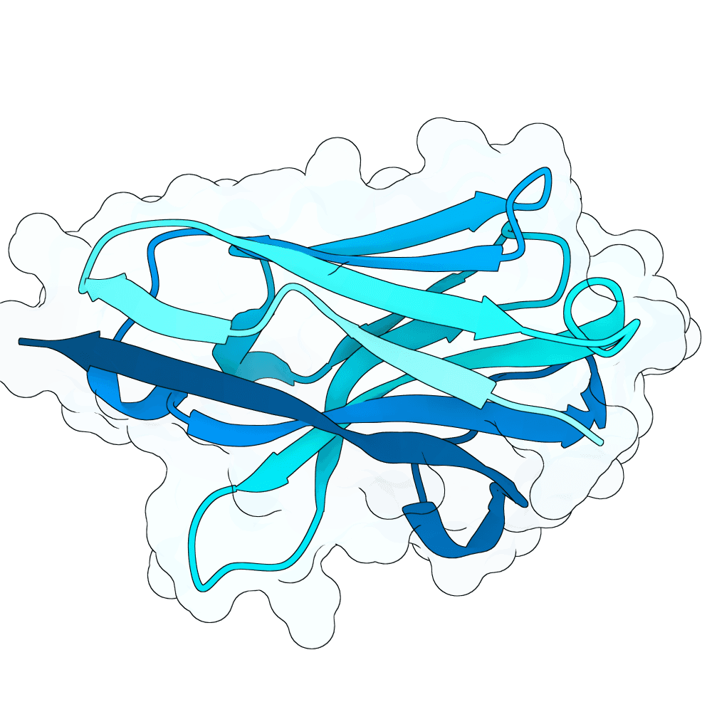 bright-hawk-thorn