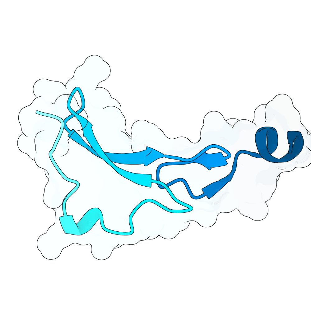misty-ibis-bronze