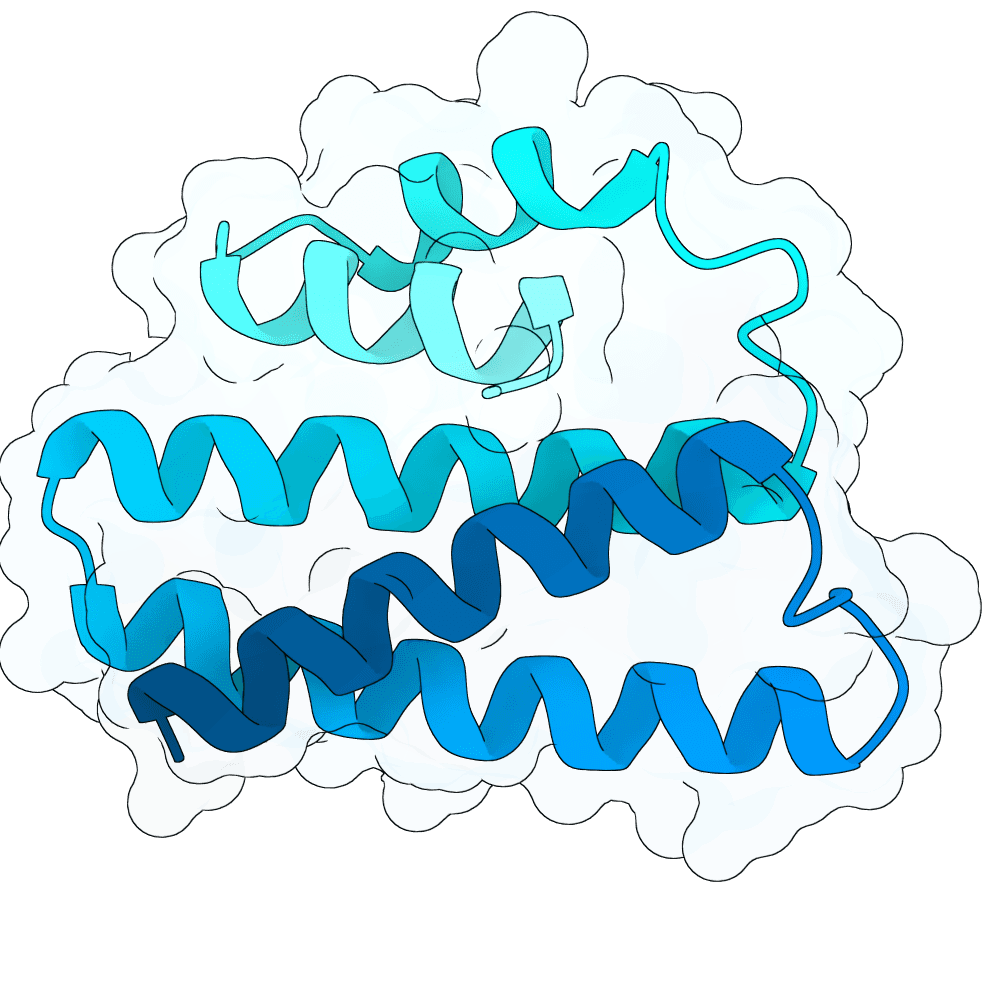 crimson-cat-frost