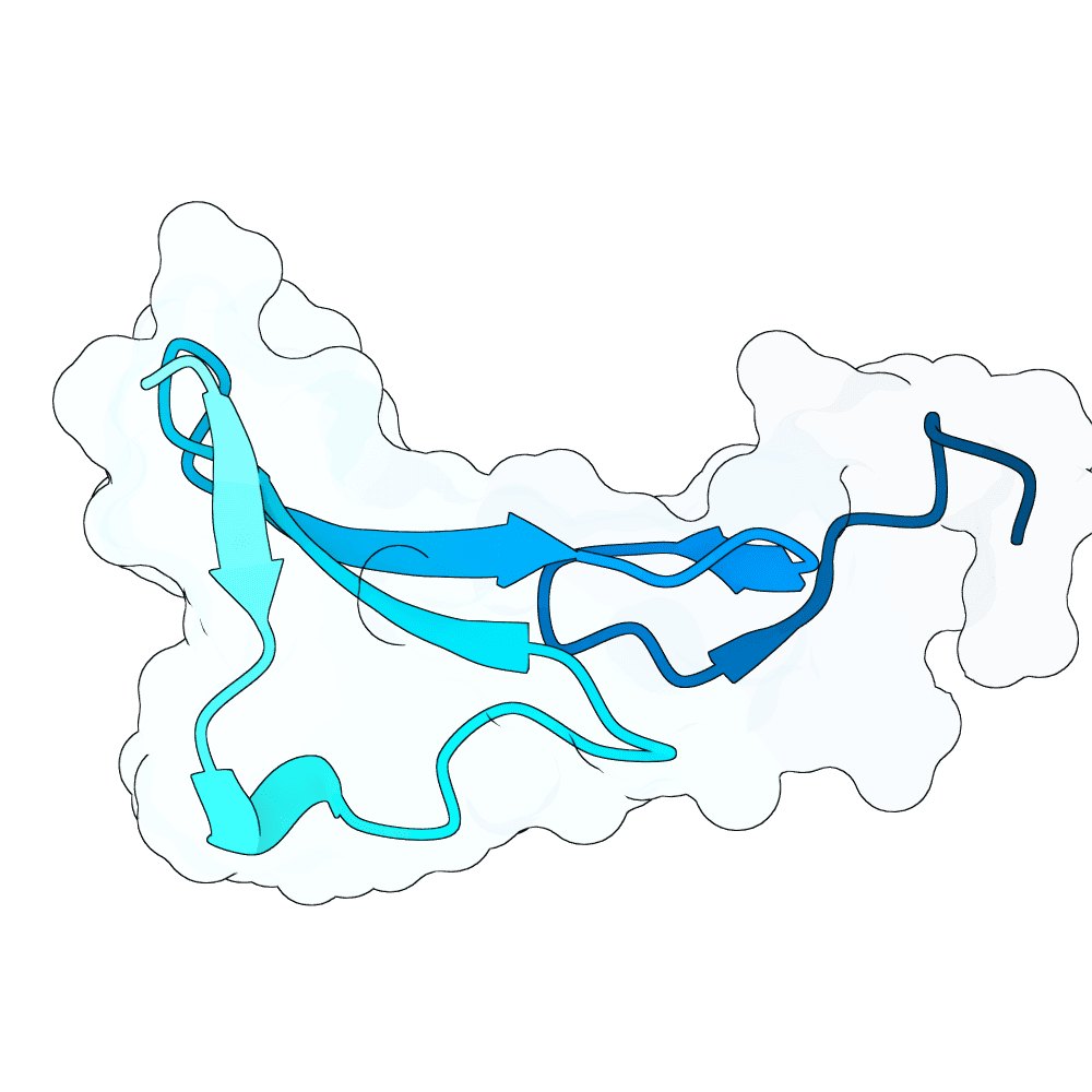 ivory-ant-lava