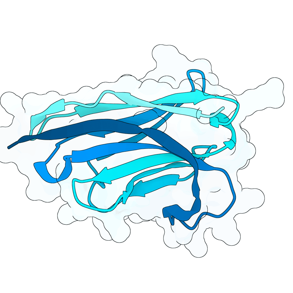 deep-shark-rose