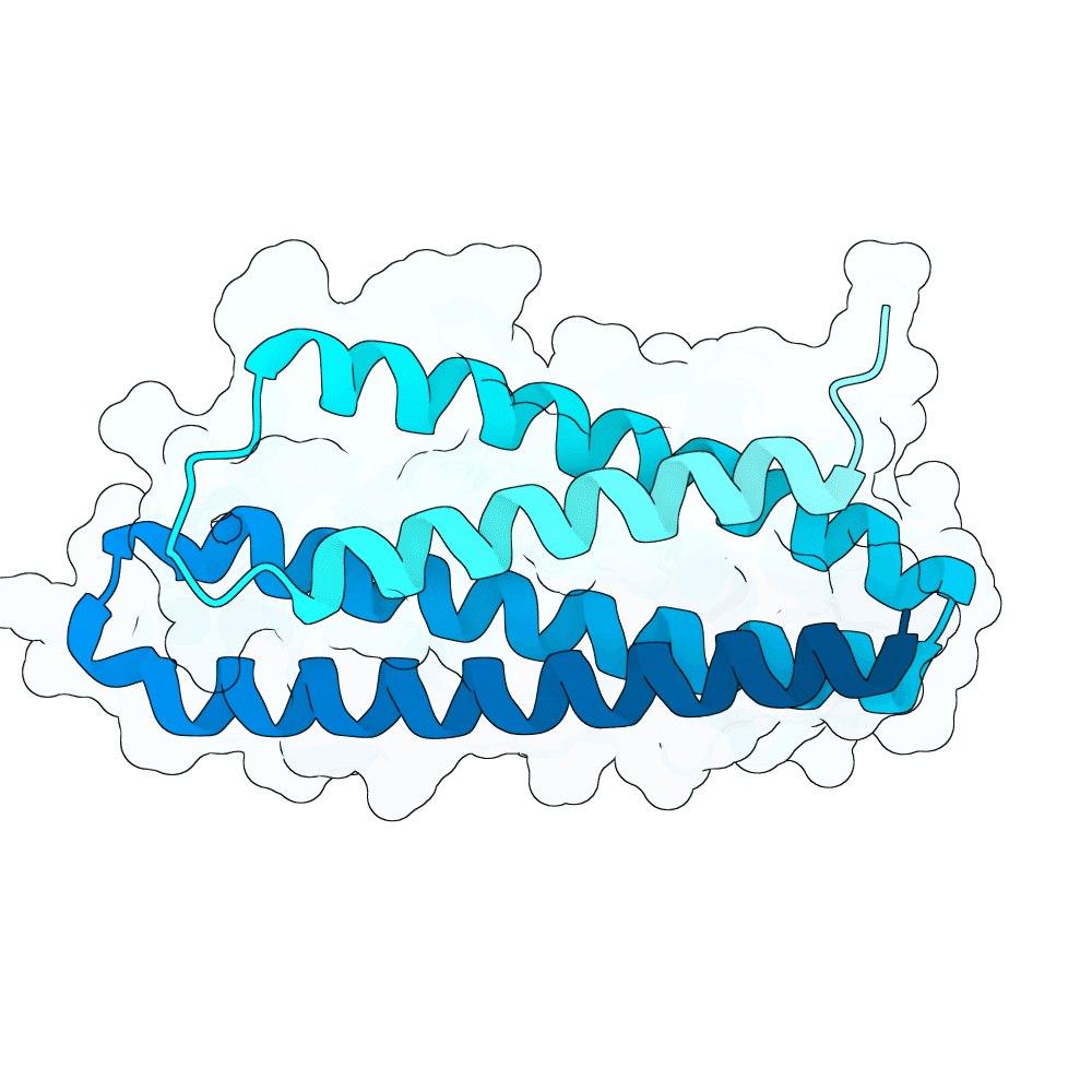 pale-tiger-plume