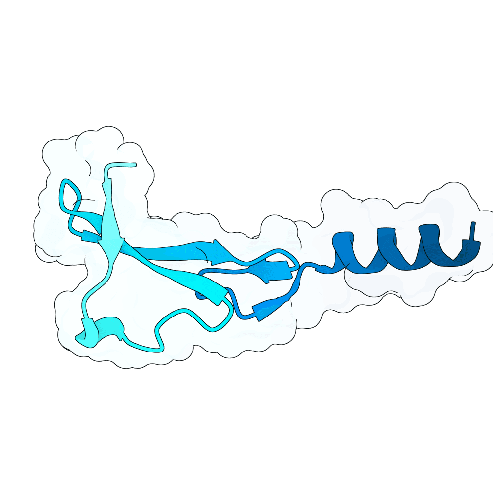 brisk-yak-ruby
