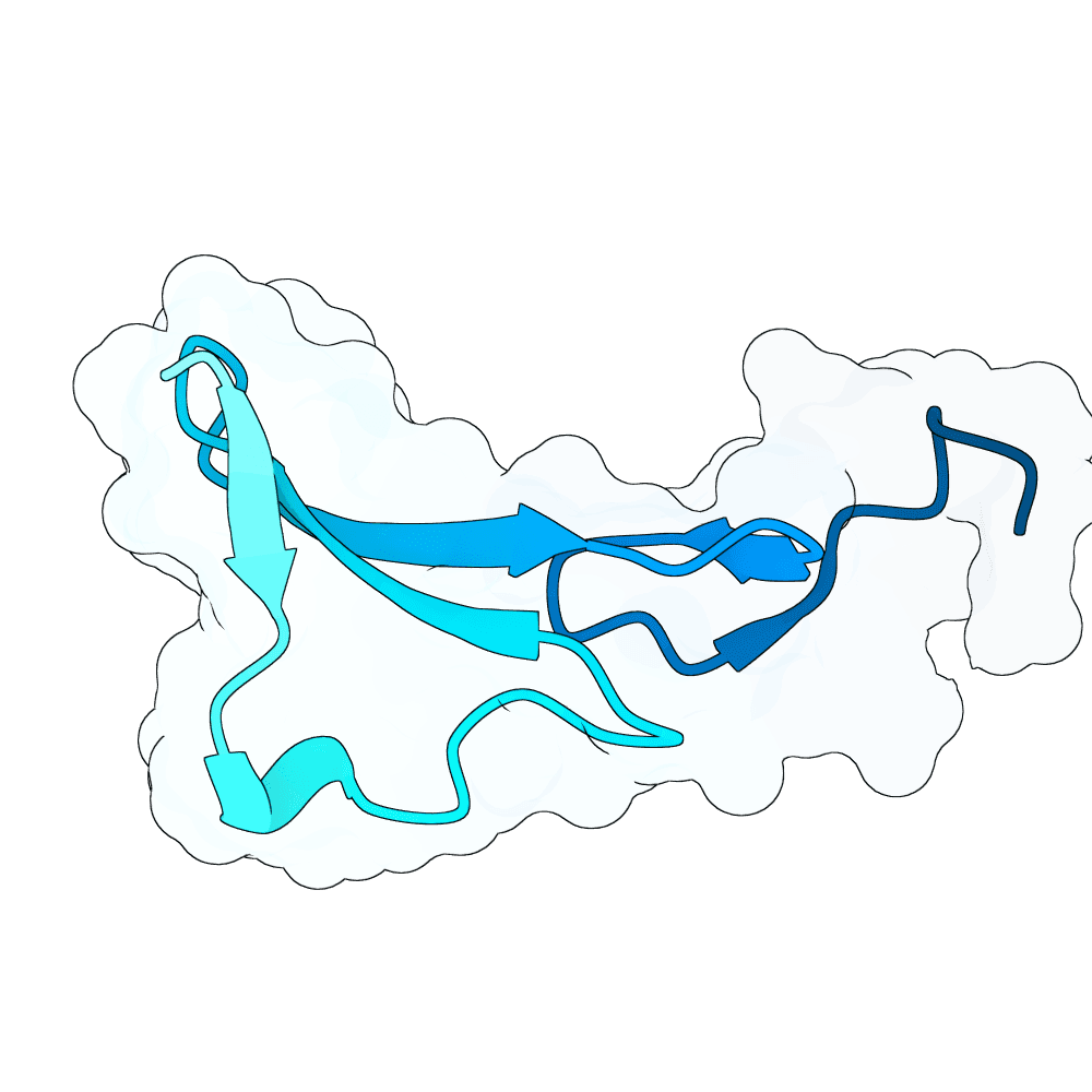 vast-zebra-onyx