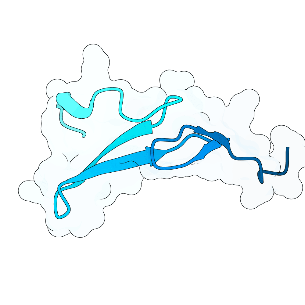 bright-mole-frost