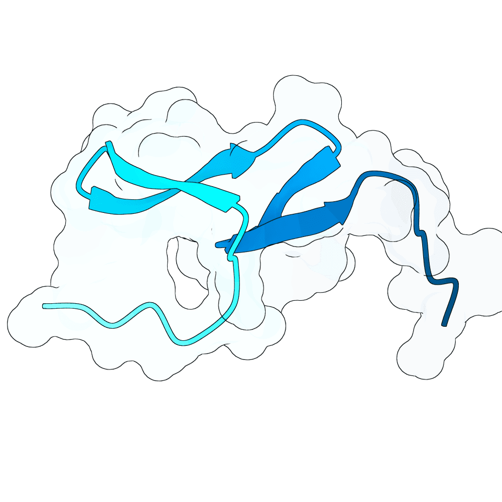 rapid-bison-stone
