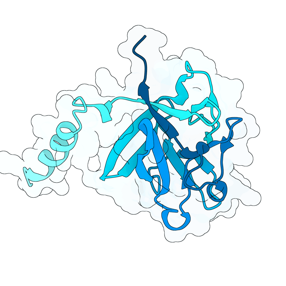 lunar-gecko-opal