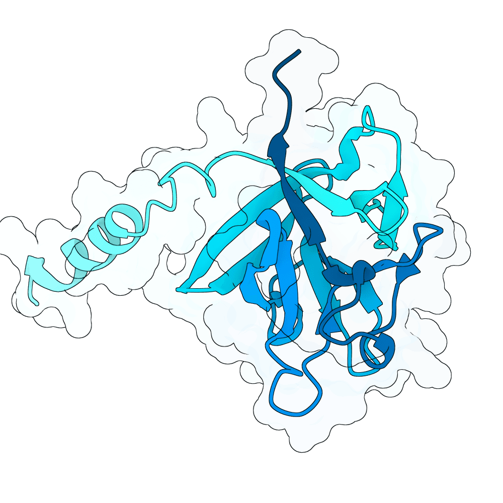 lunar-yak-flint