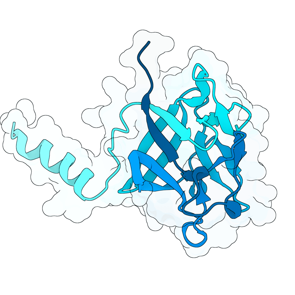 bright-cobra-leaf