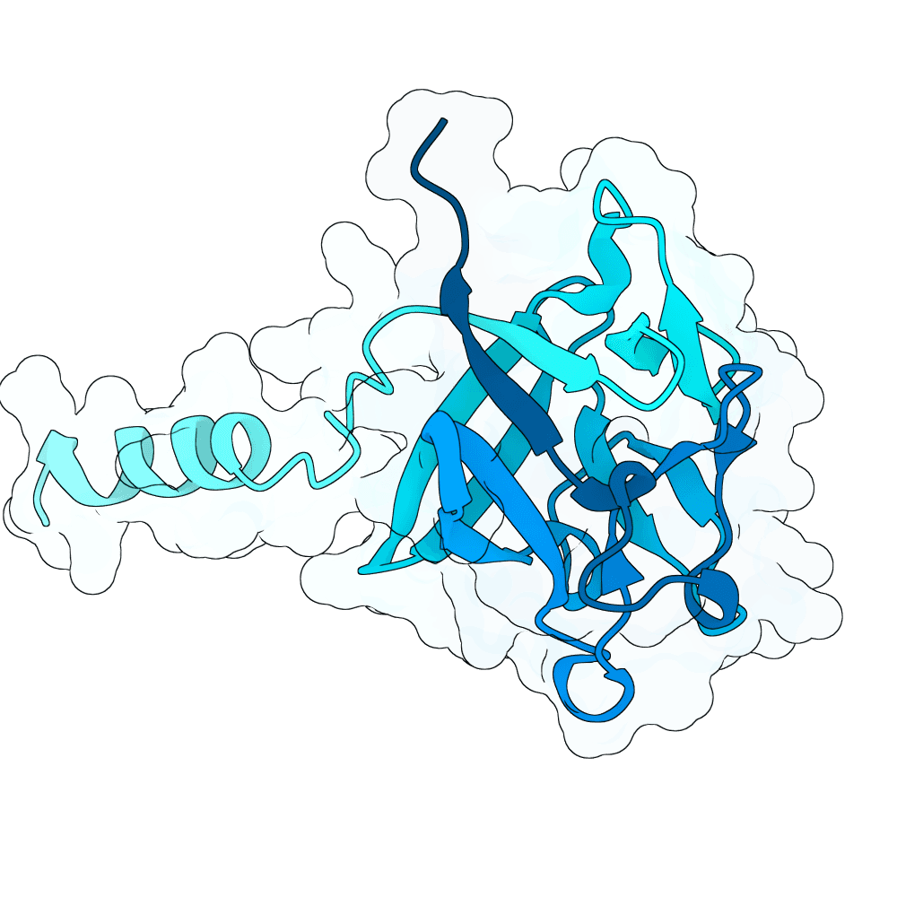 rough-lion-opal