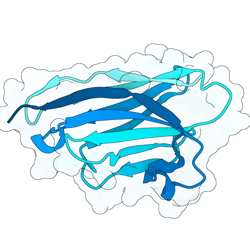 radiant-moth-cypress