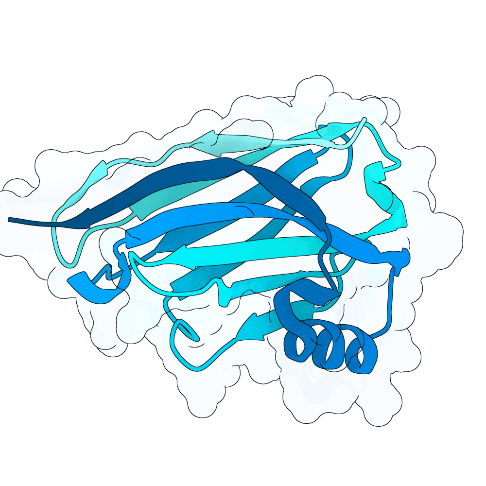 frozen-bison-cypress