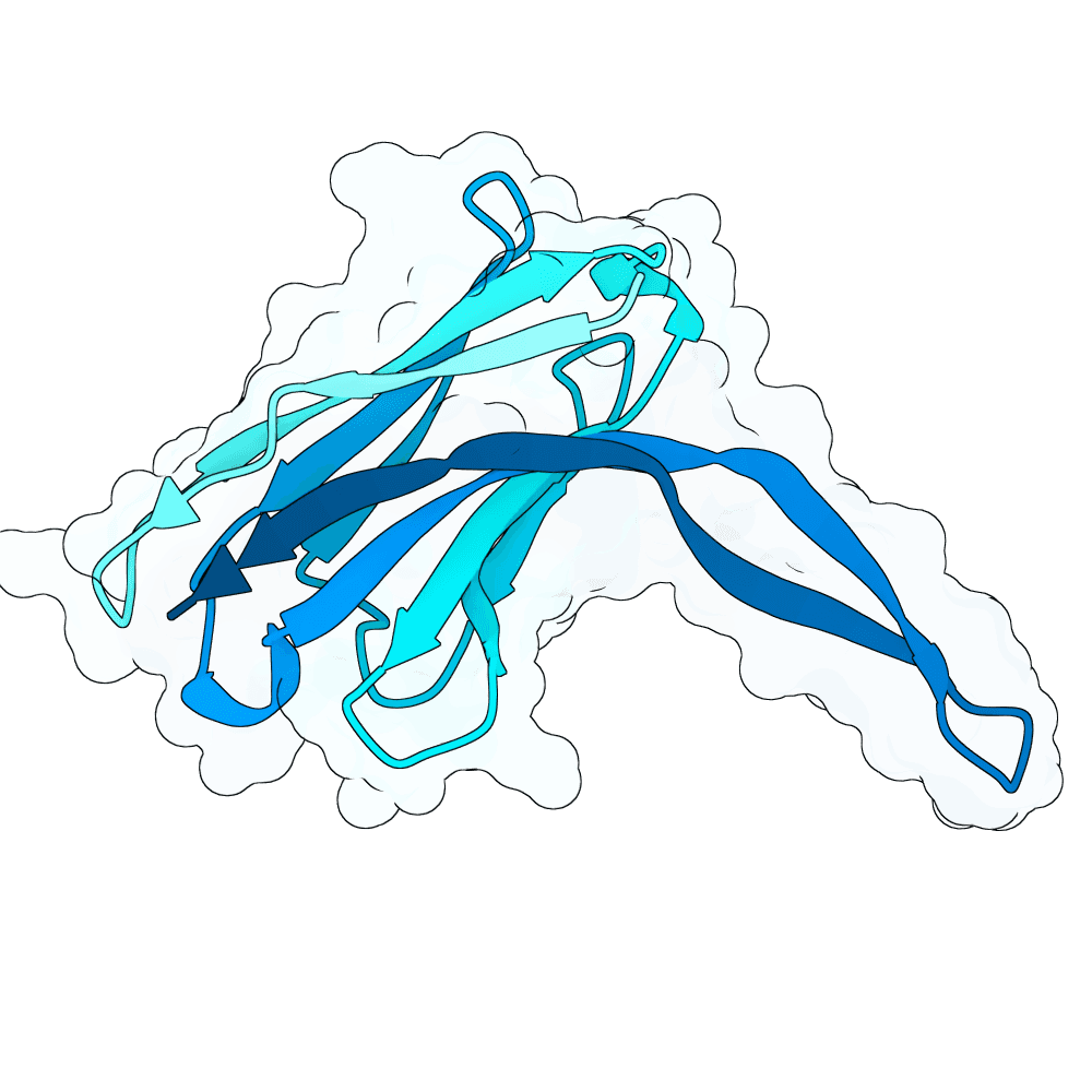 scarlet-moth-cypress