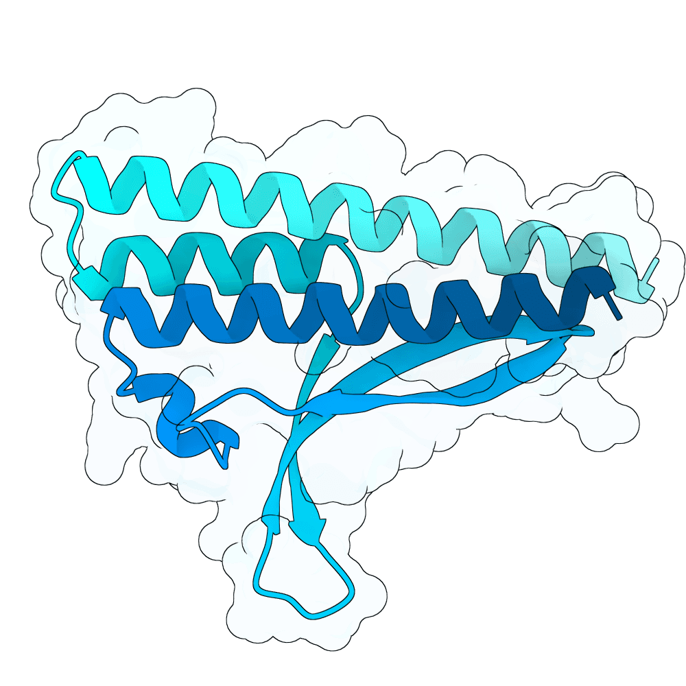 scarlet-heron-quartz