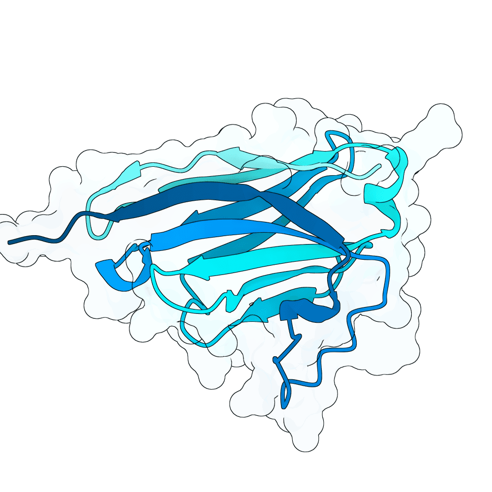 steady-cobra-granite