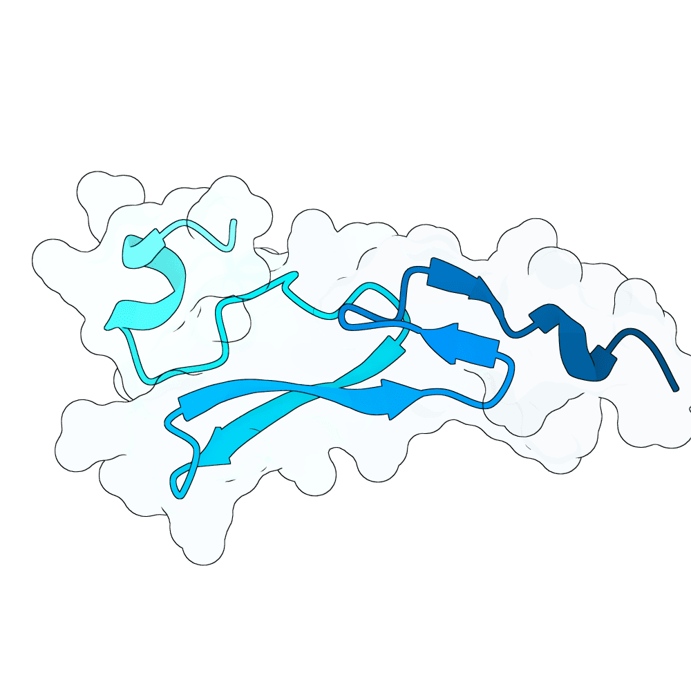 hollow-tiger-granite