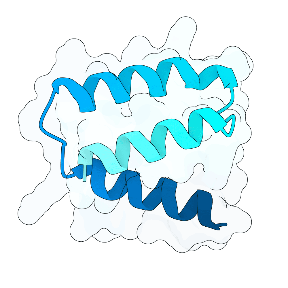 gentle-bison-granite