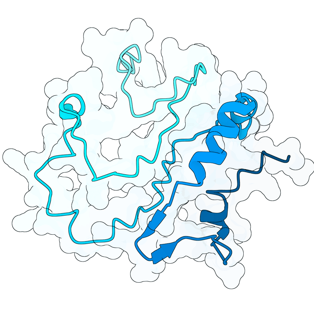 swift-panther-quartz