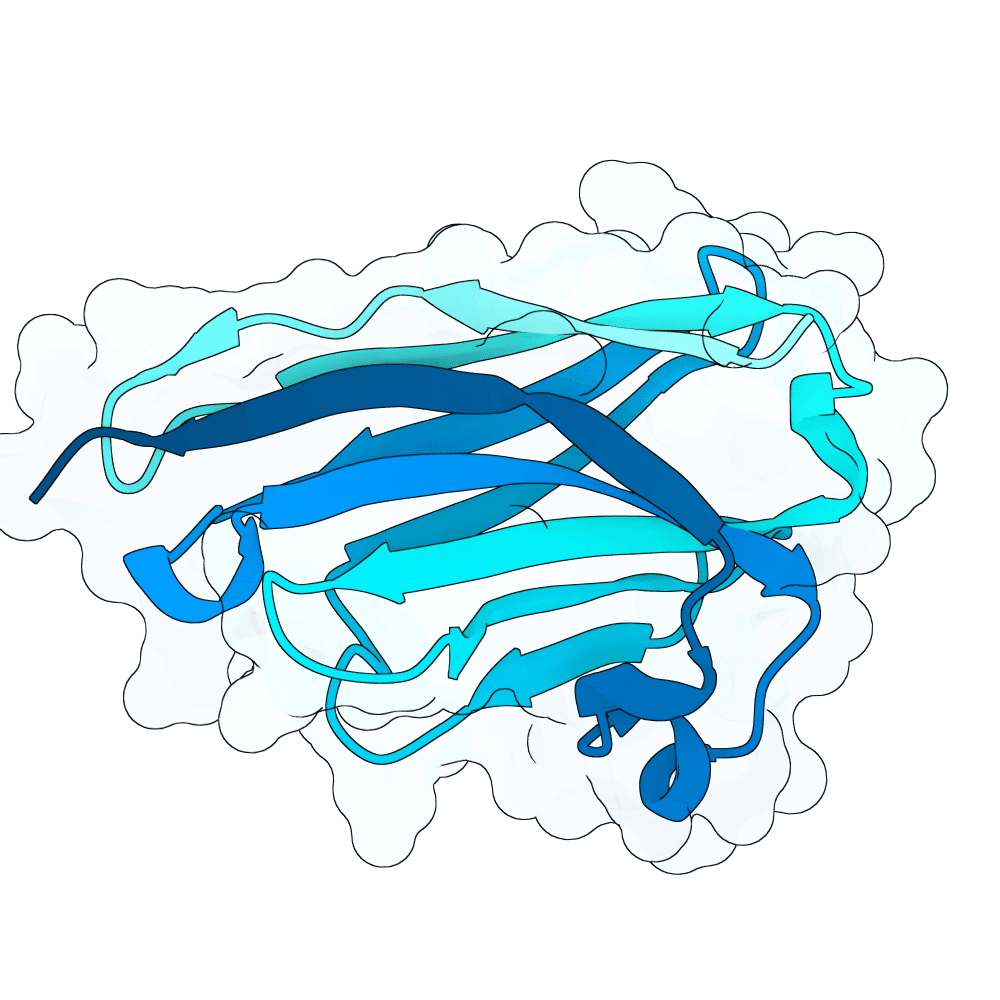 calm-gecko-quartz