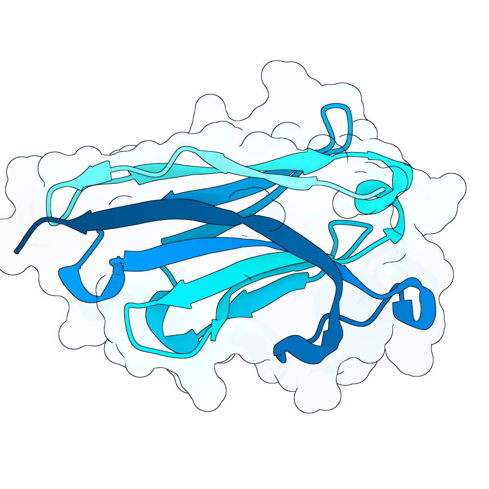 bright-cat-onyx