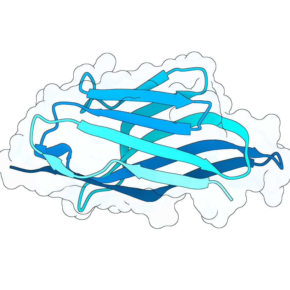 strong-heron-wave