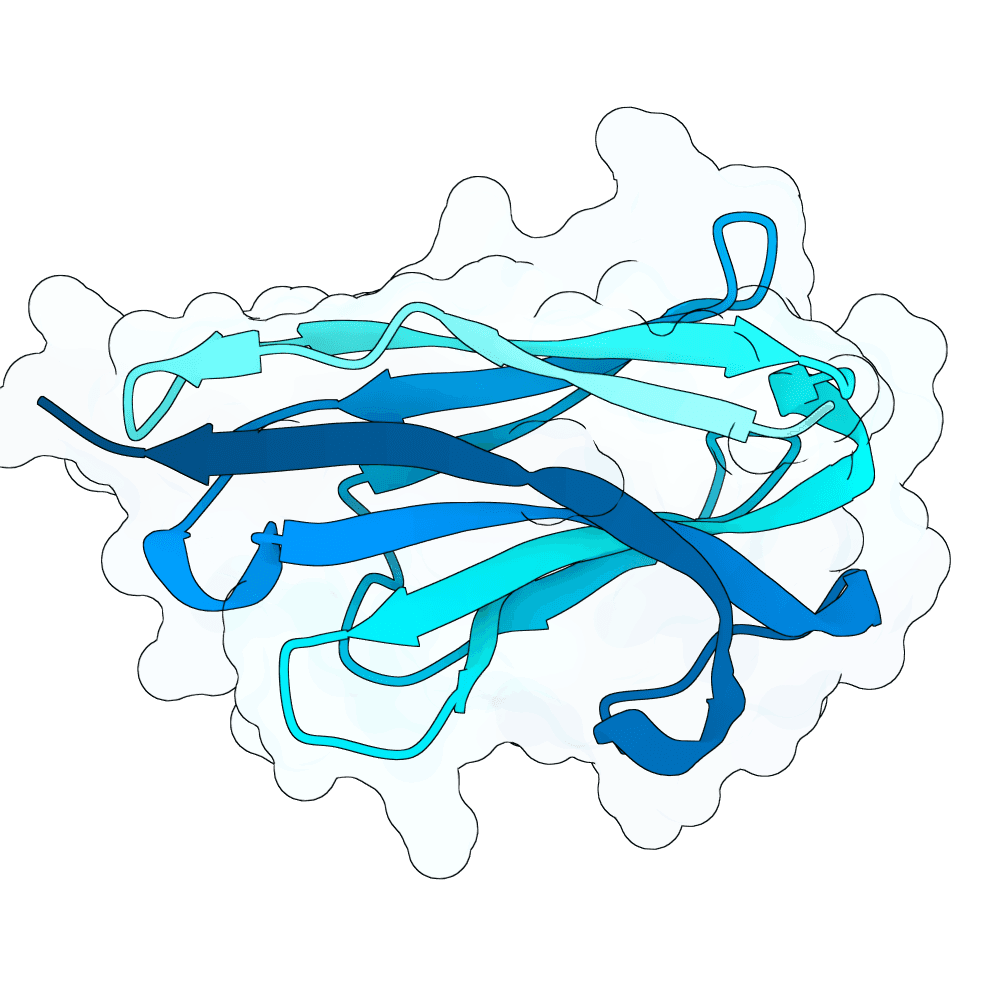 quiet-bat-opal