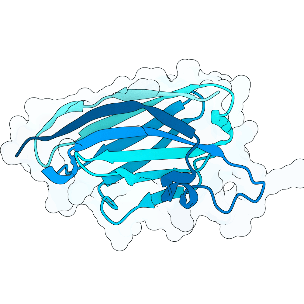 swift-panther-crystal