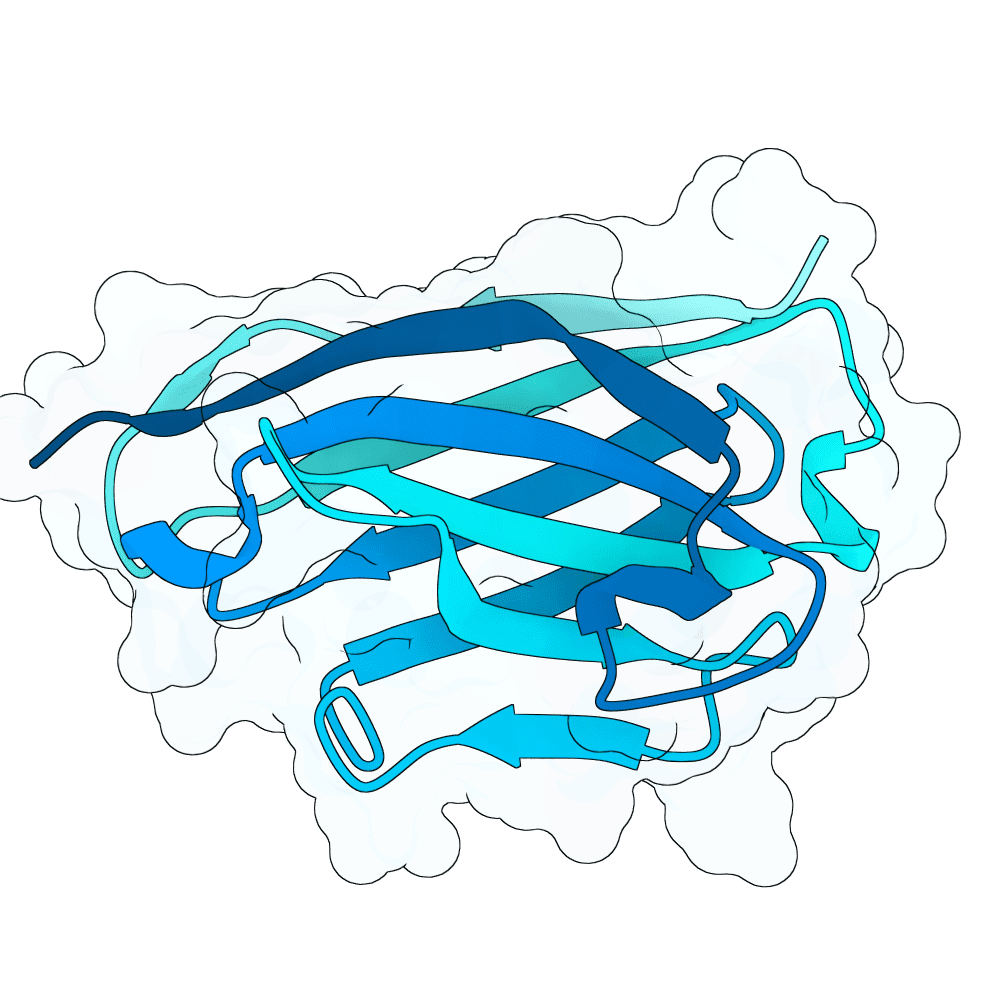 ivory-mole-jade