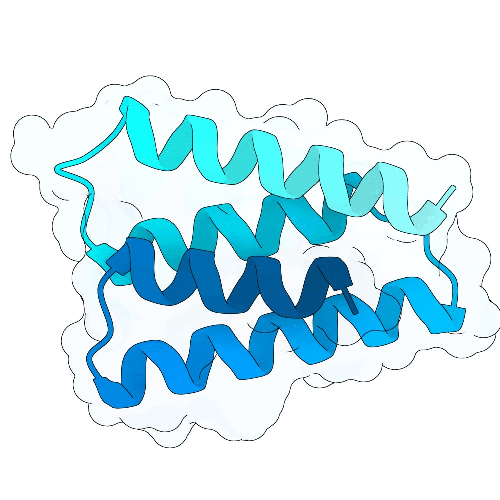 hollow-zebra-crystal