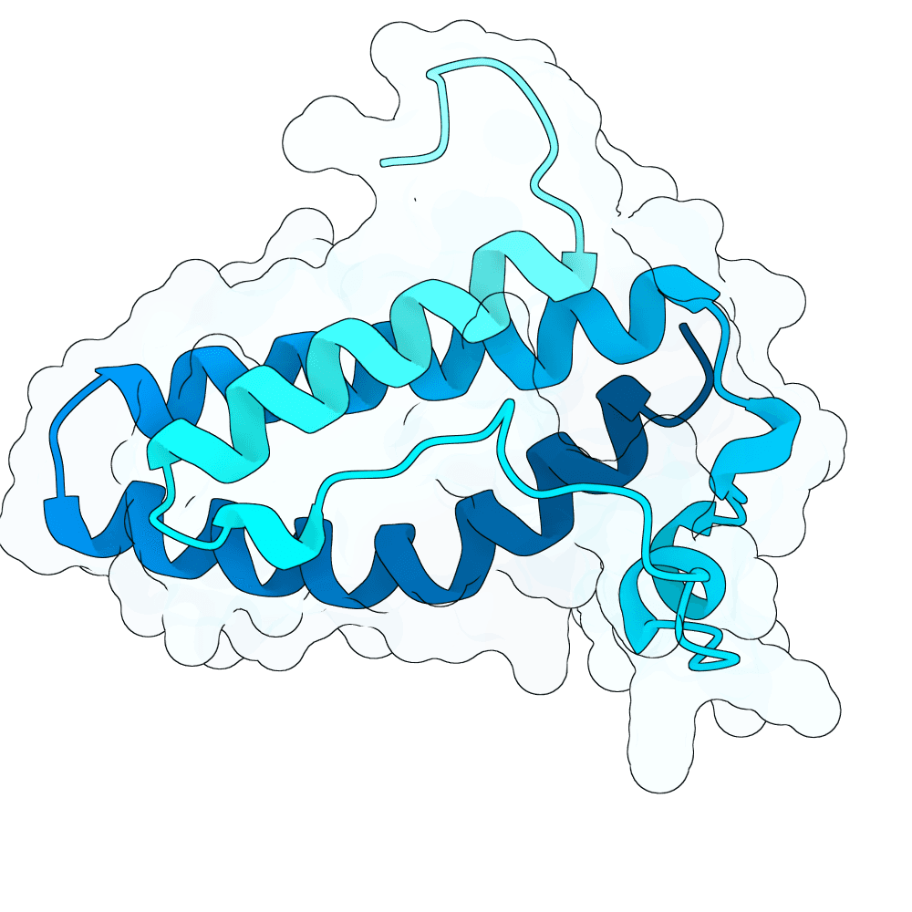 gentle-raven-crystal