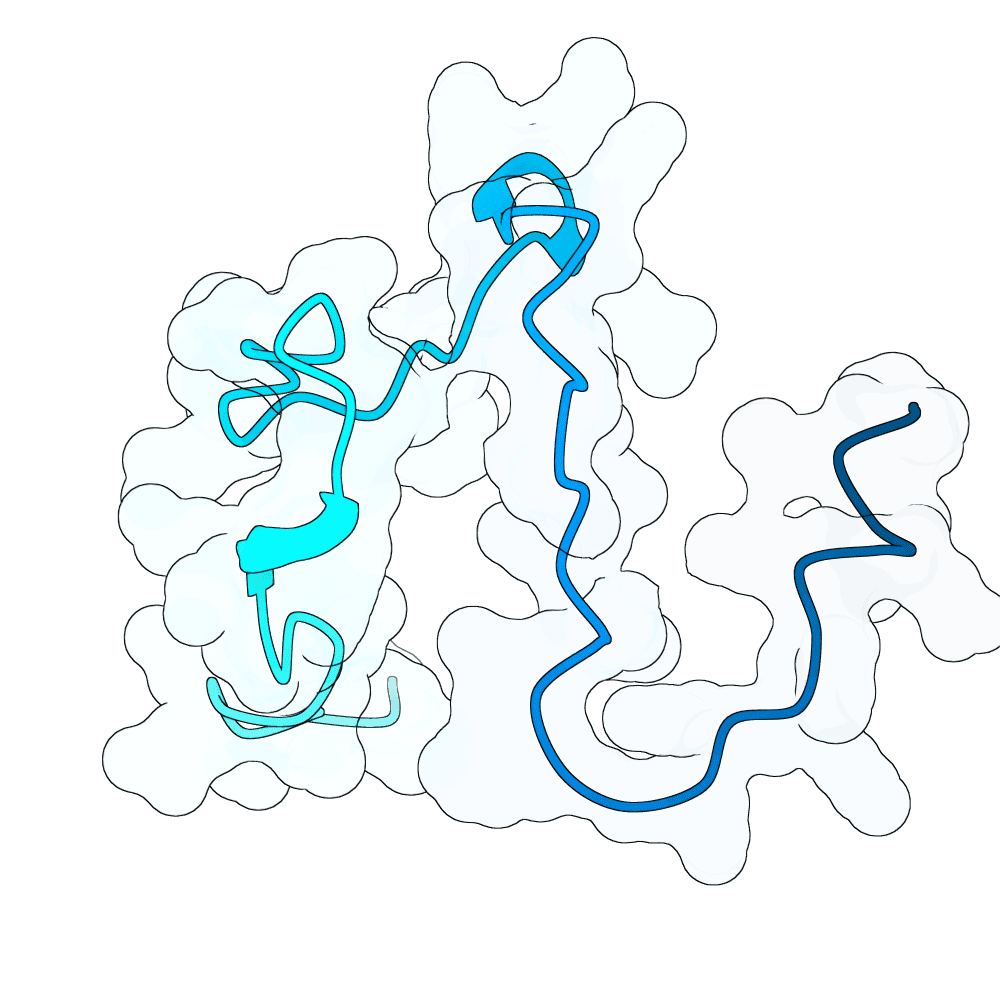 scarlet-otter-bronze