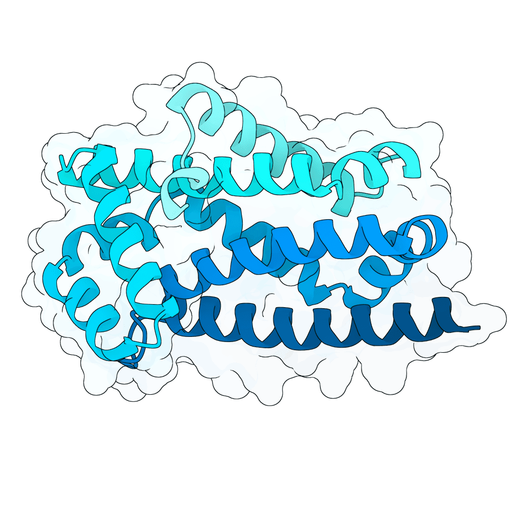 steady-panther-willow