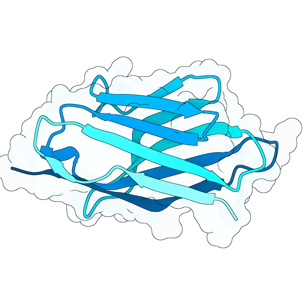 violet-panda-cypress