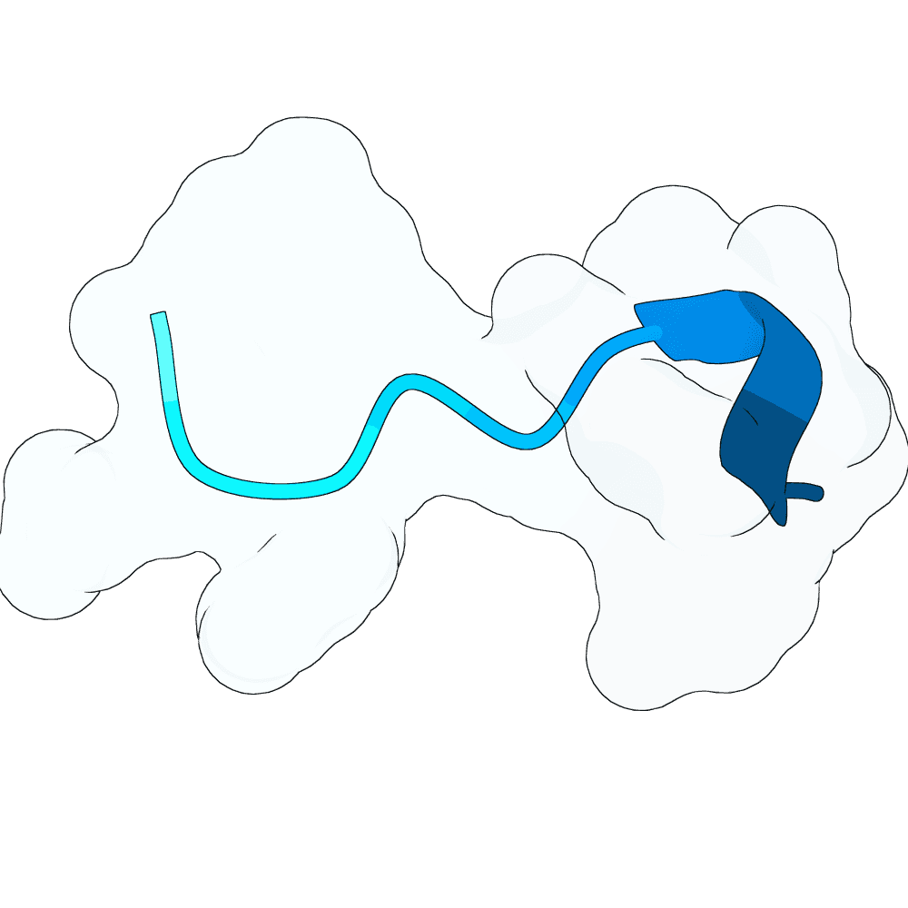 brisk-panther-quartz