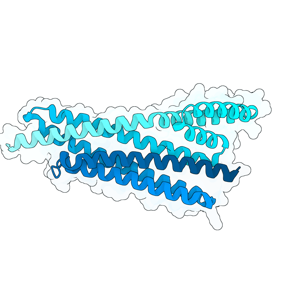 bright-panda-cypress