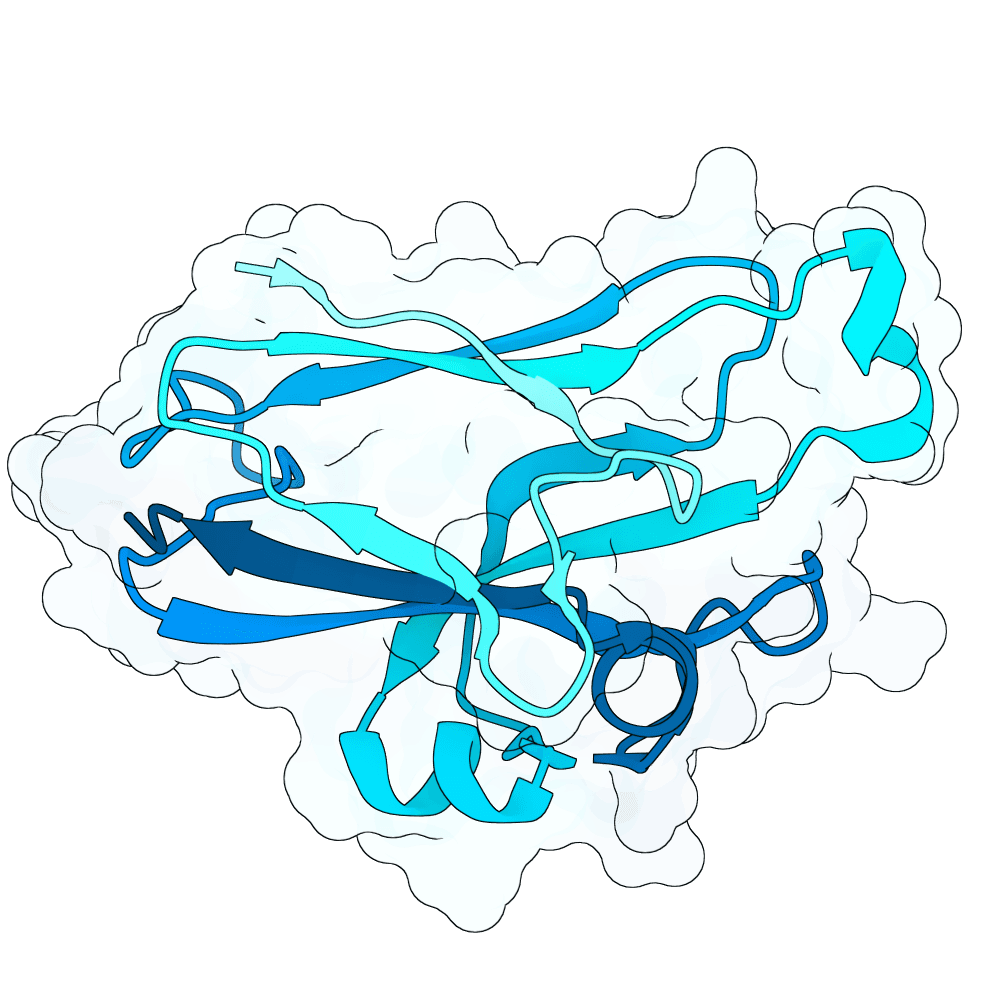radiant-cobra-granite