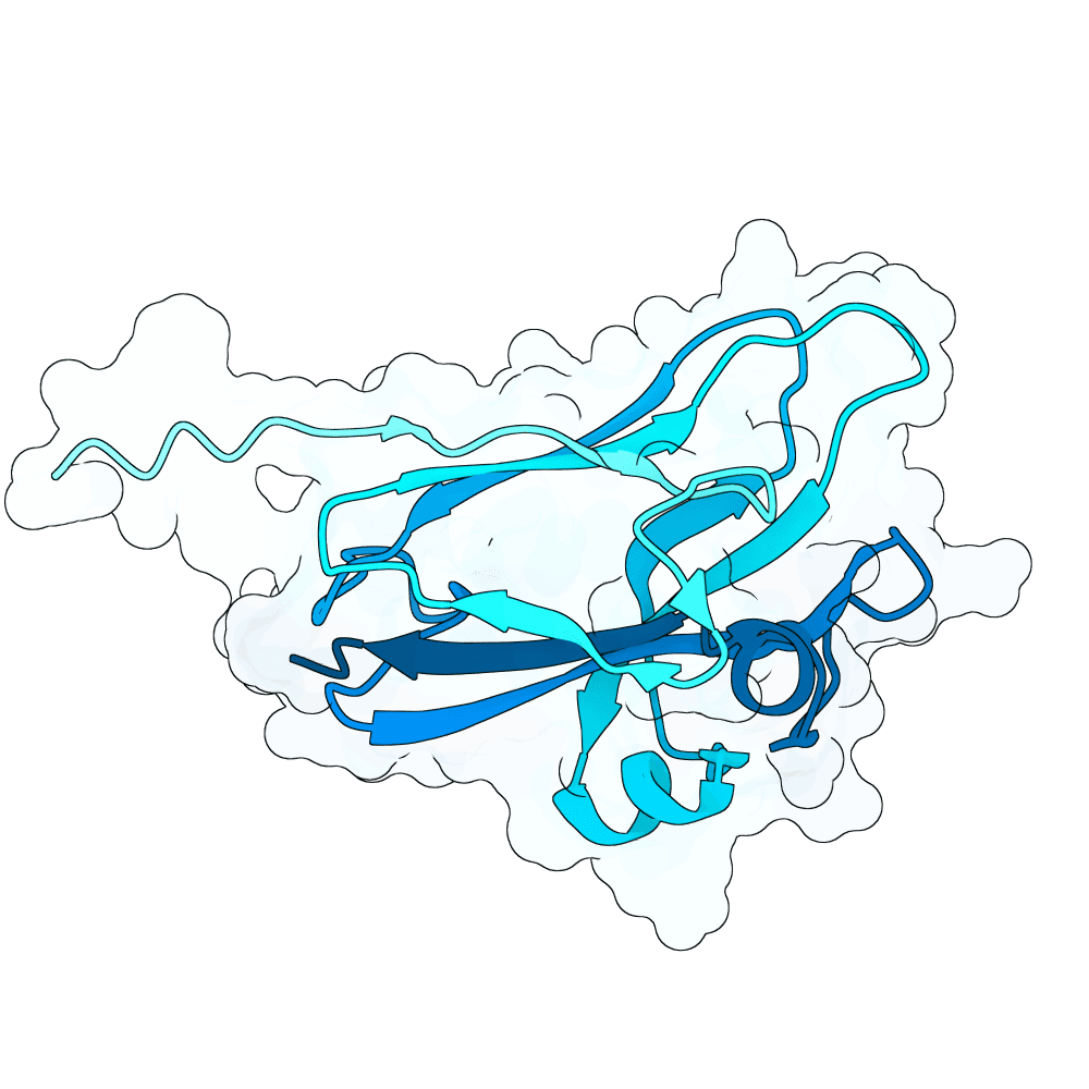 scarlet-gecko-granite