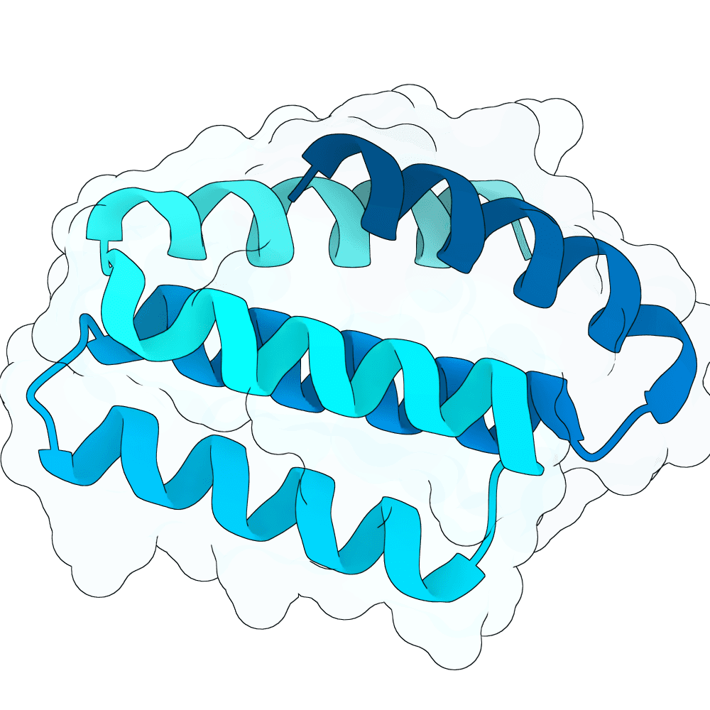 crimson-falcon-orchid