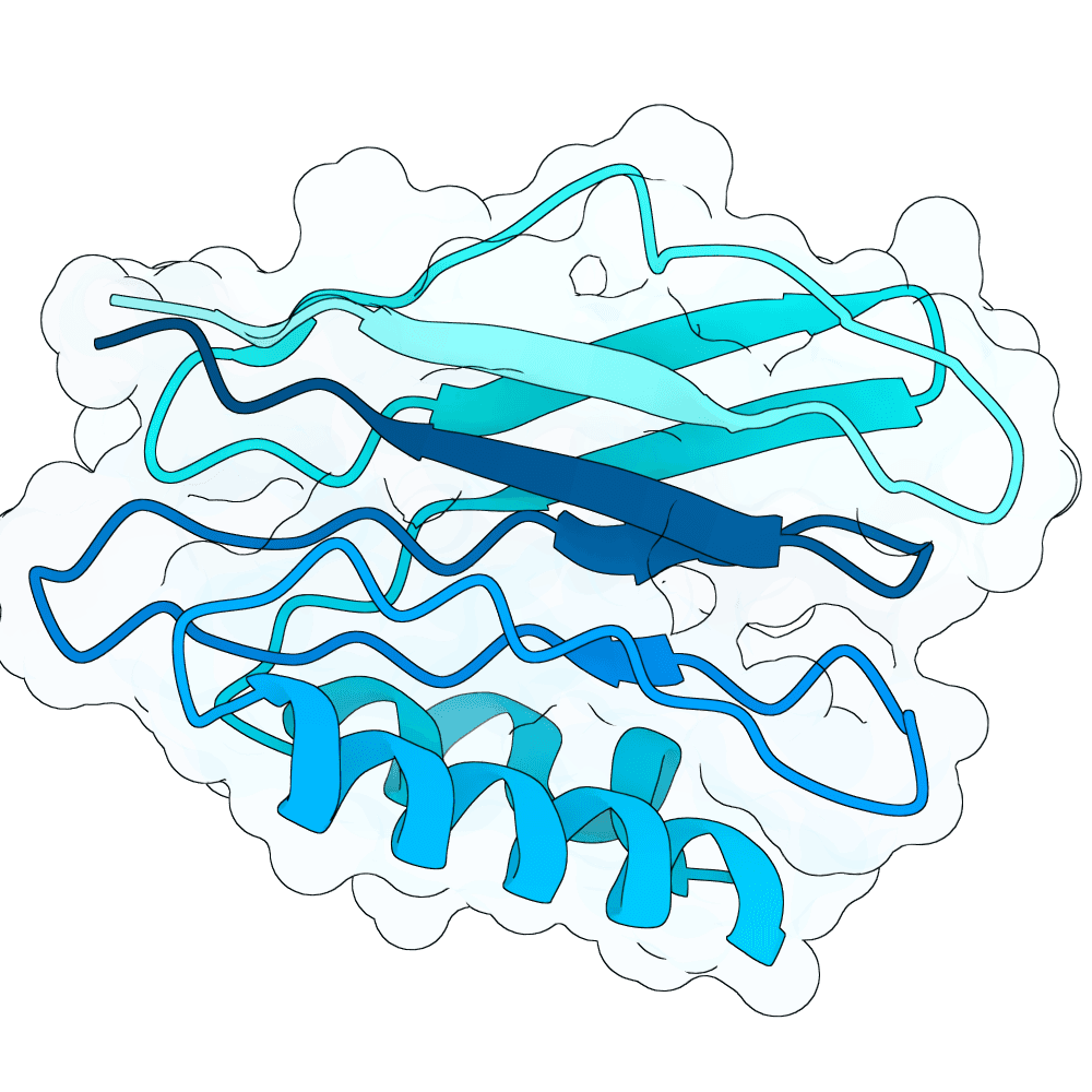 misty-panther-cypress