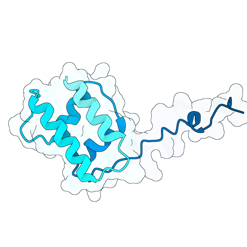 gentle-quail-crystal