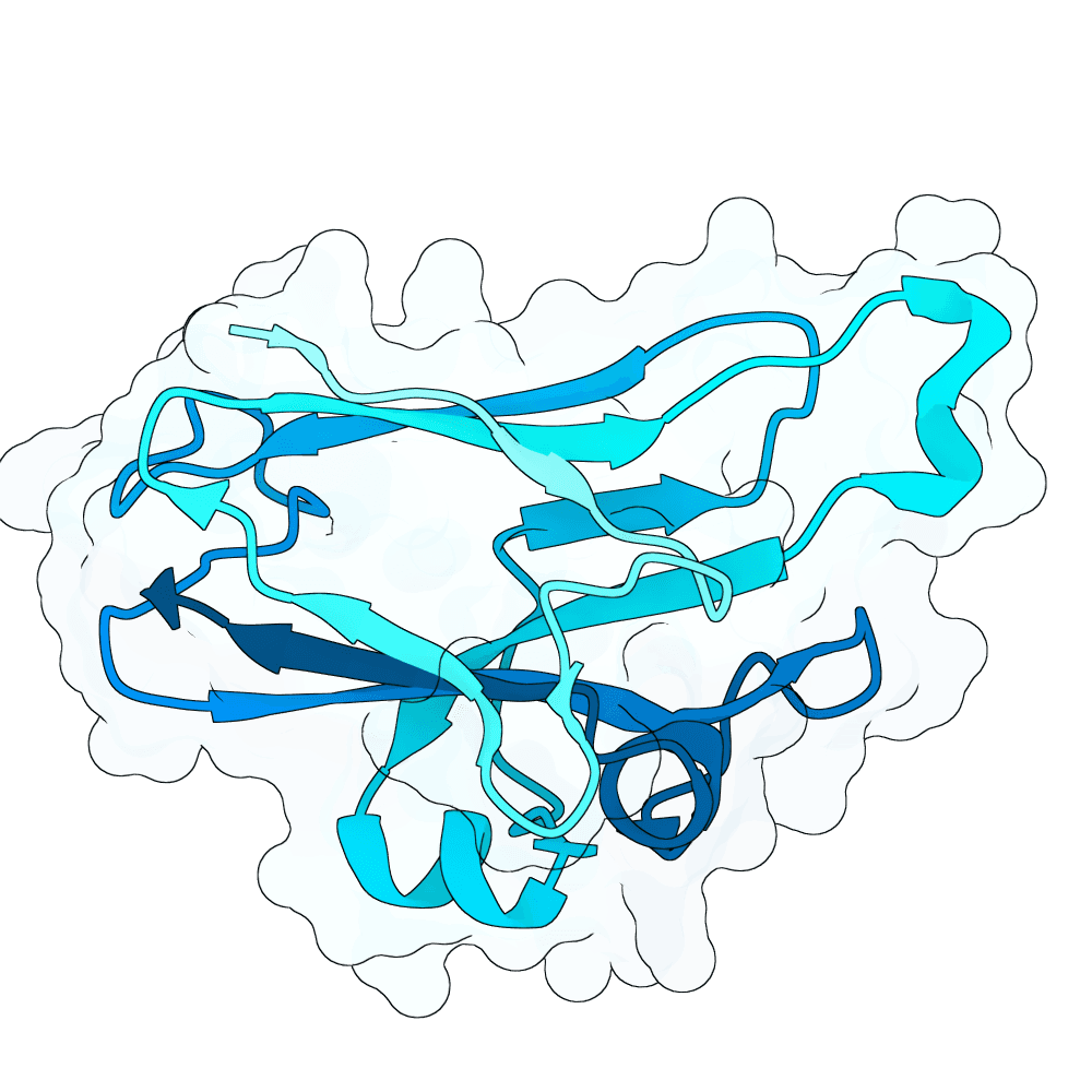 solid-panther-crystal