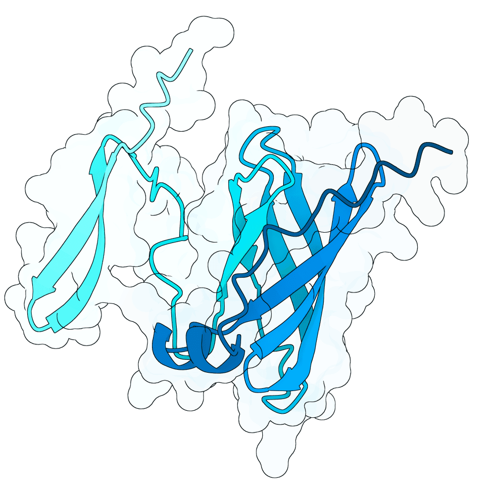 scarlet-bison-bronze