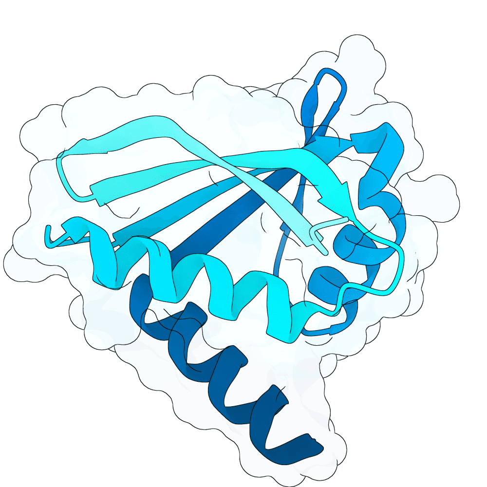 steady-bison-cypress