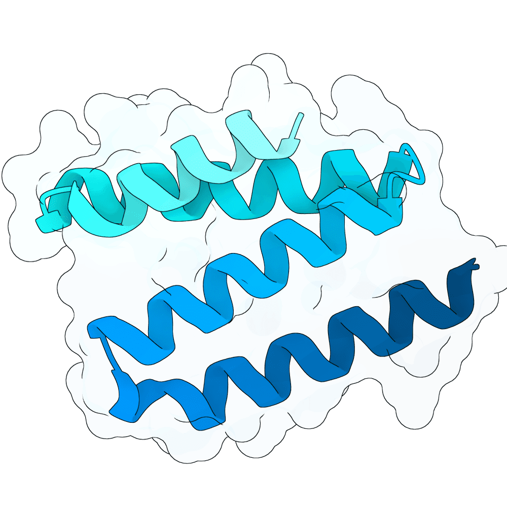 crimson-jaguar-maple