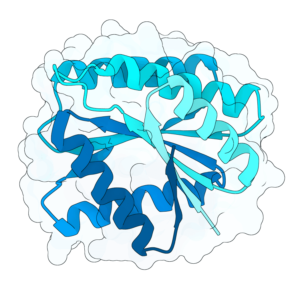 mellow-shark-granite