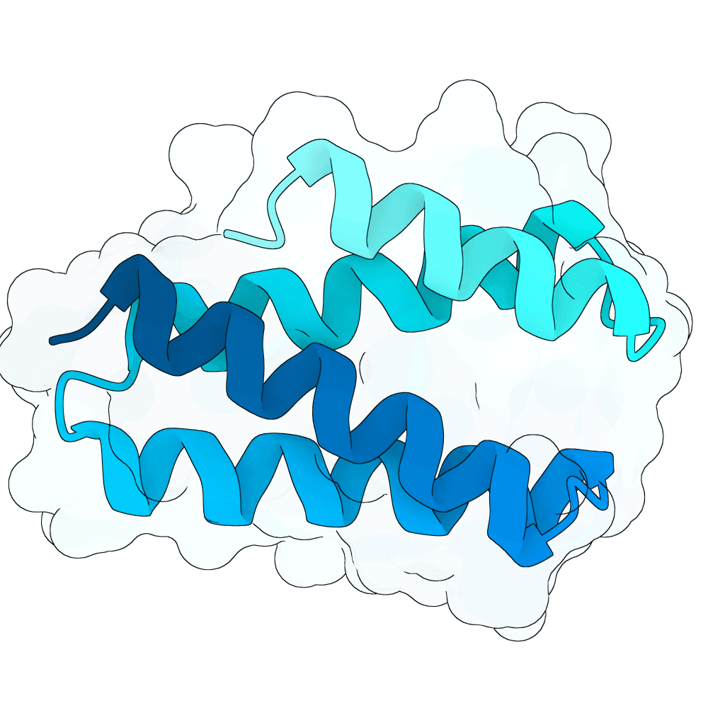 scarlet-tiger-willow
