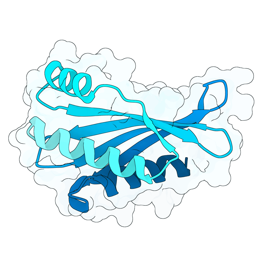 crimson-panther-wave