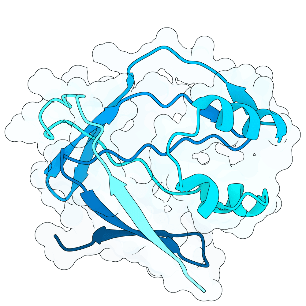 lunar-panther-orchid