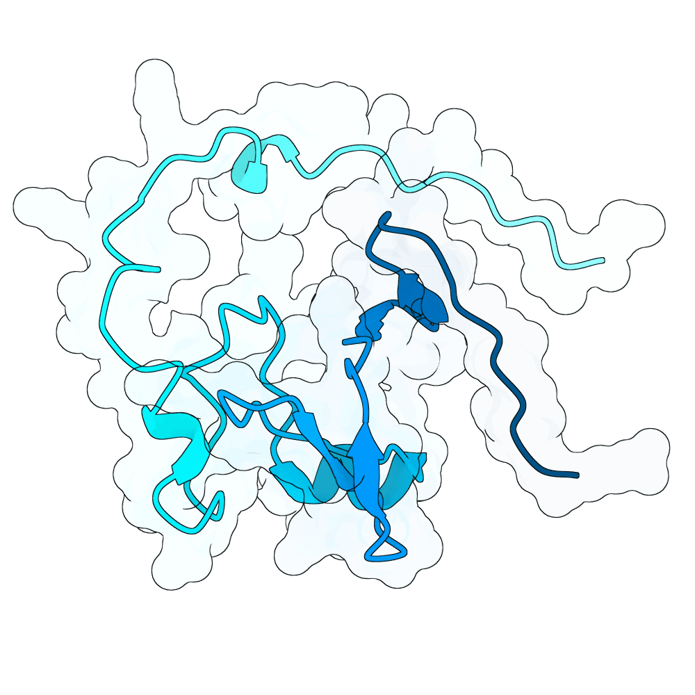 frozen-jaguar-granite
