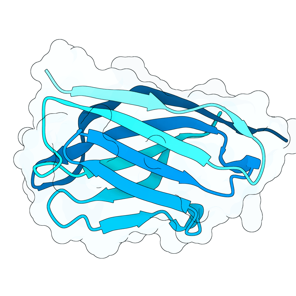 strong-tiger-cypress